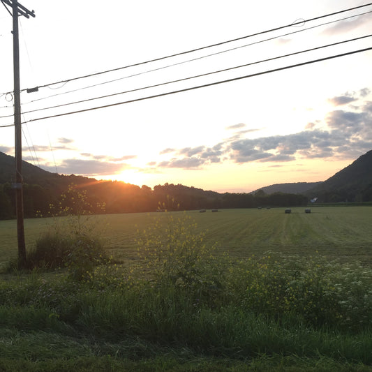 Hickory View Farms- Summer sunset taken at Heyler Farms, harvesting hay.