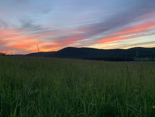 Sunset over the hay field.