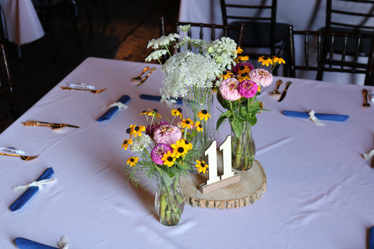 Hickory View Farms first wedding