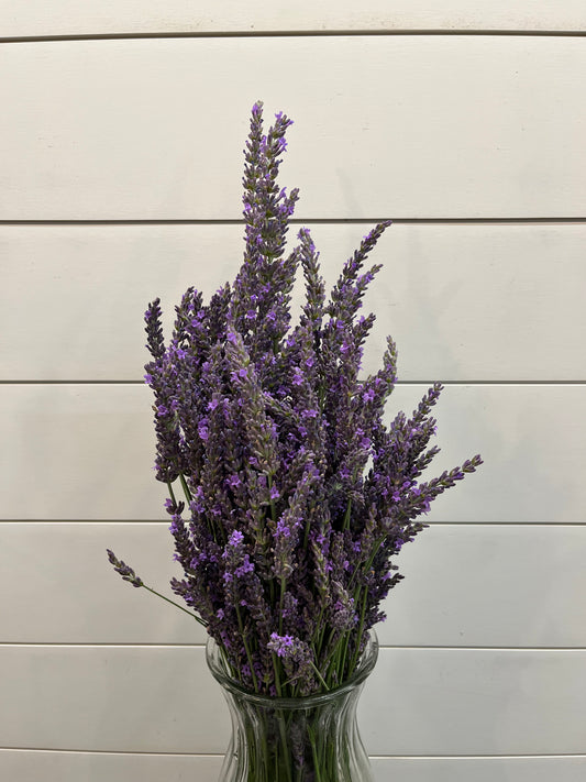 Lavender Bunch - Hickory View Farms, LLC