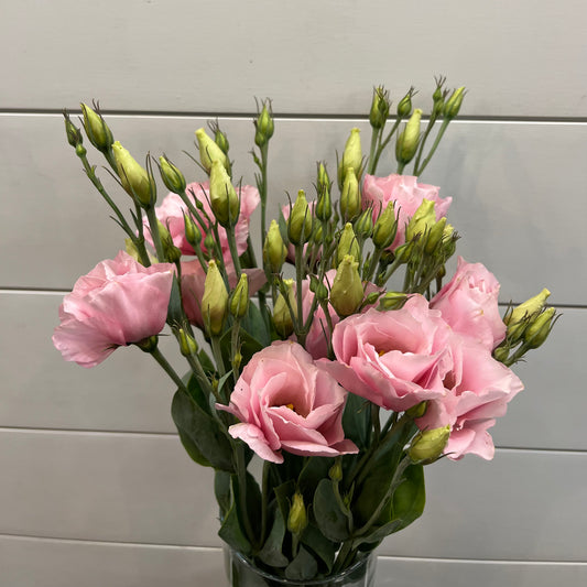 Lisianthus Bunch - Hickory View Farms, LLC