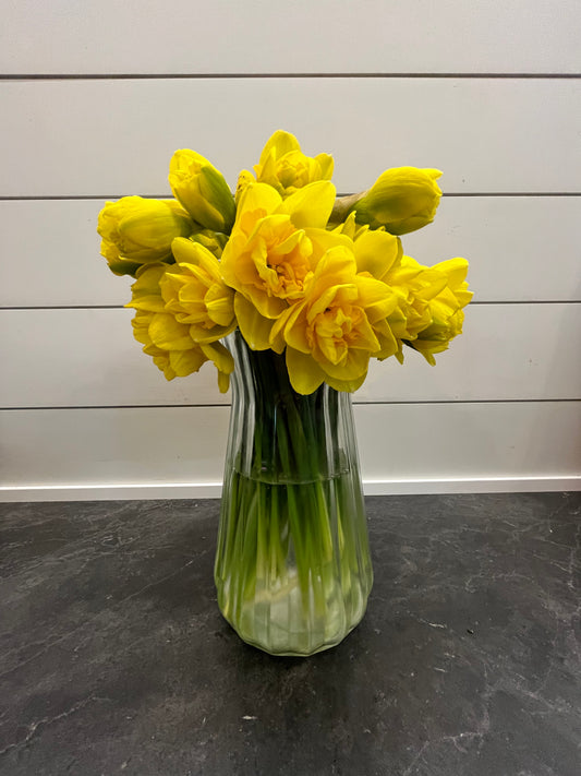Narcissus Bunch - Hickory View Farms, LLC
