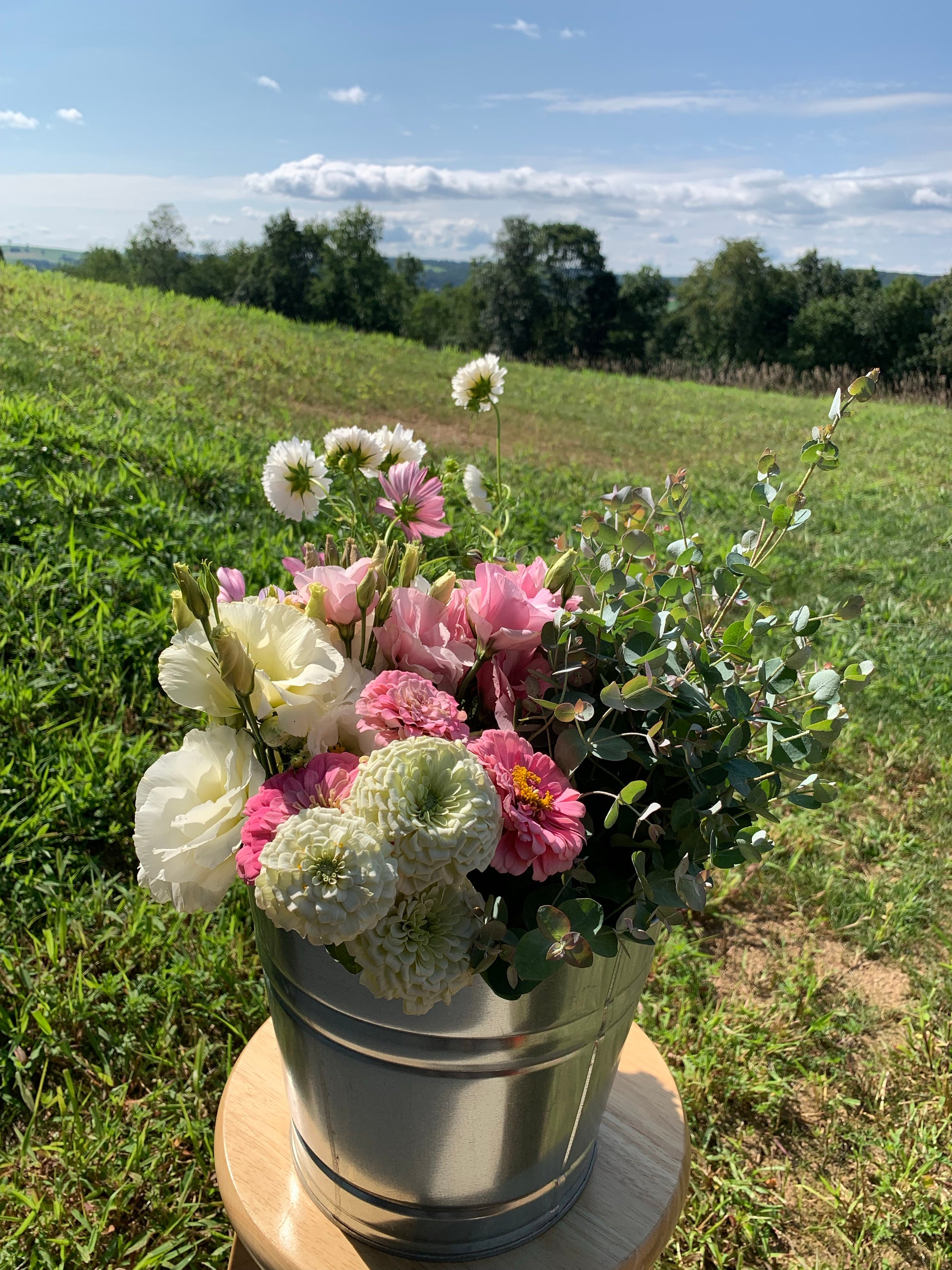 Bucket of Blooms for DIY flower arranging 