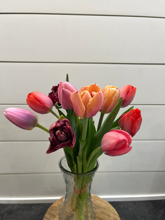 Tulips - Hickory View Farms, LLC